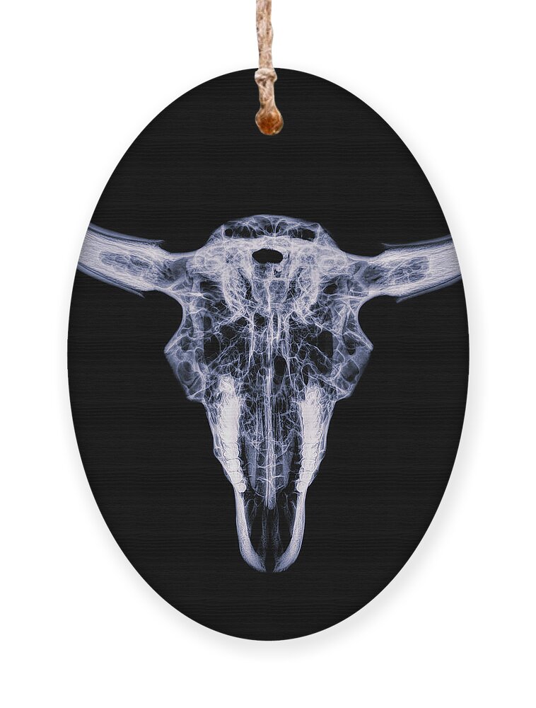 Kansas Ornament featuring the photograph Bison skull x-ray 01 by Rob Graham