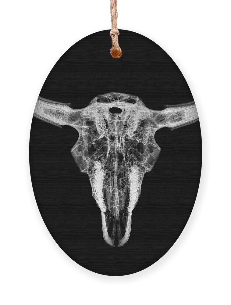 Kansas Ornament featuring the photograph Bison skull x-ray 01bw by Rob Graham
