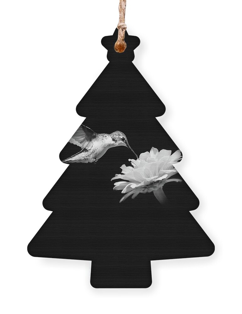 Hummingbird Ornament featuring the photograph Black and White Hummingbird and Flower by Christina Rollo