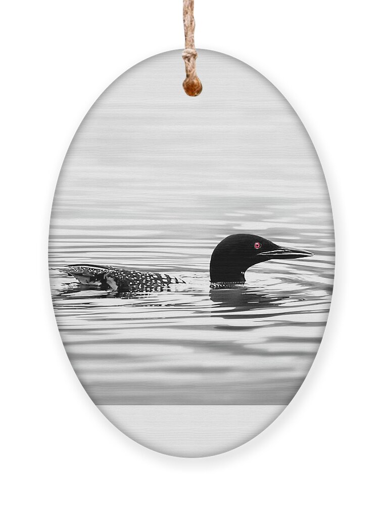Loon Ornament featuring the photograph Black And White Loon by Christina Rollo