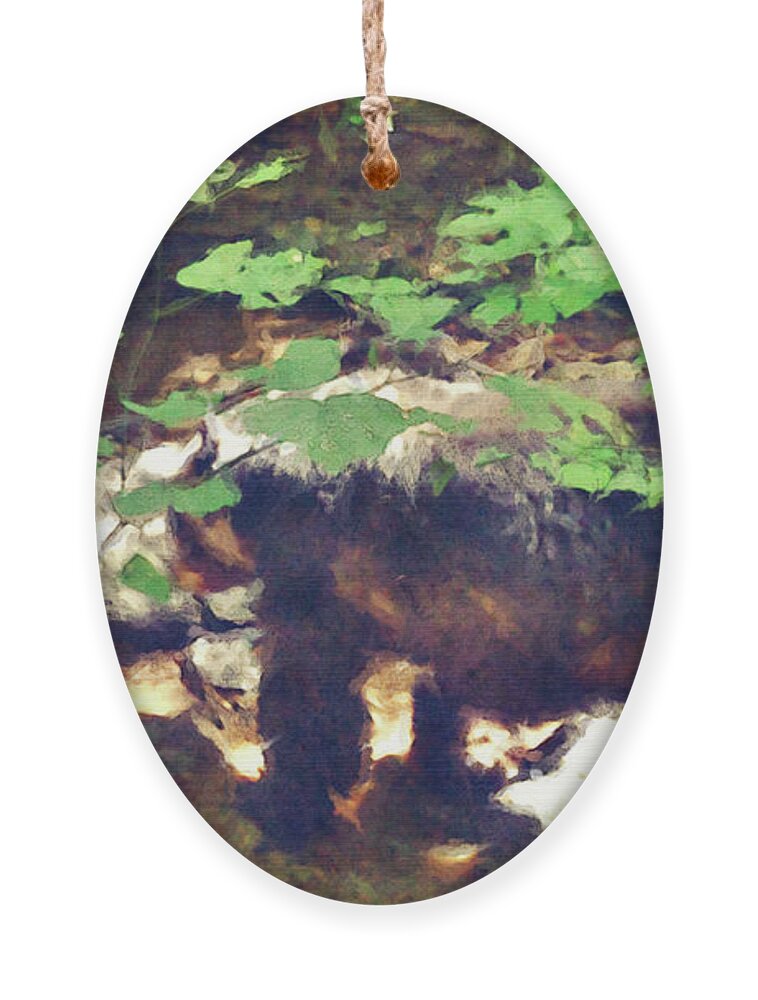 Bear Ornament featuring the digital art Black Bear In Woods by Phil Perkins
