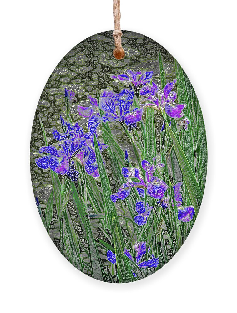Flower Ornament featuring the photograph Blue Iris Impressions by Ira Marcus