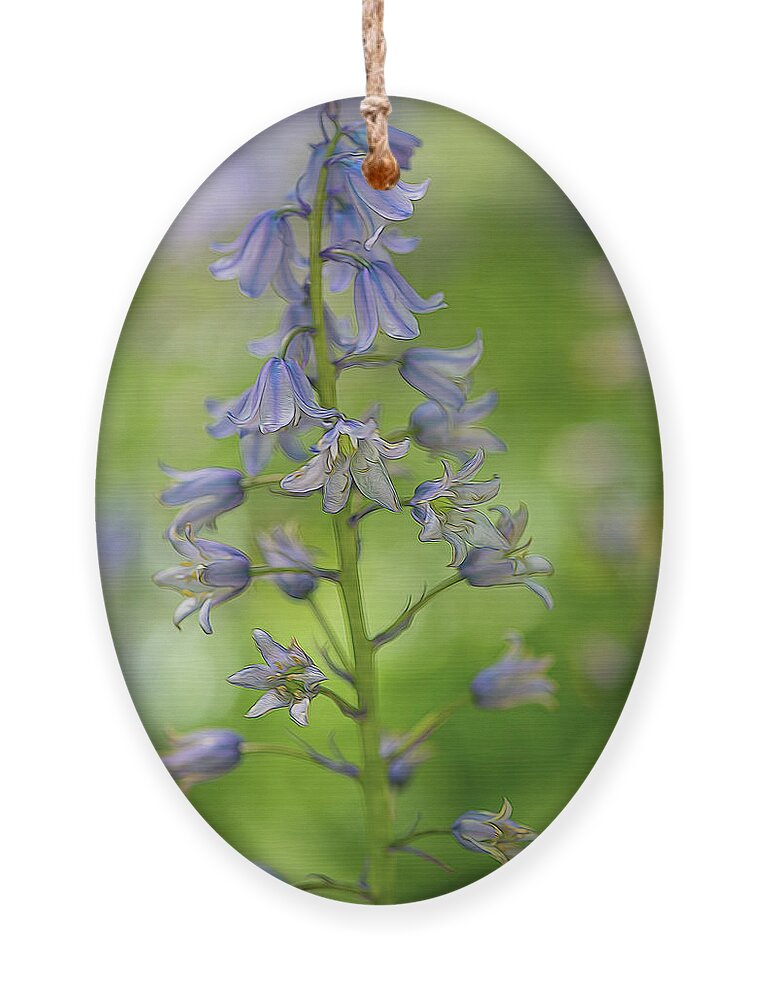 Flower Ornament featuring the photograph Bluebell by Minnie Gallman