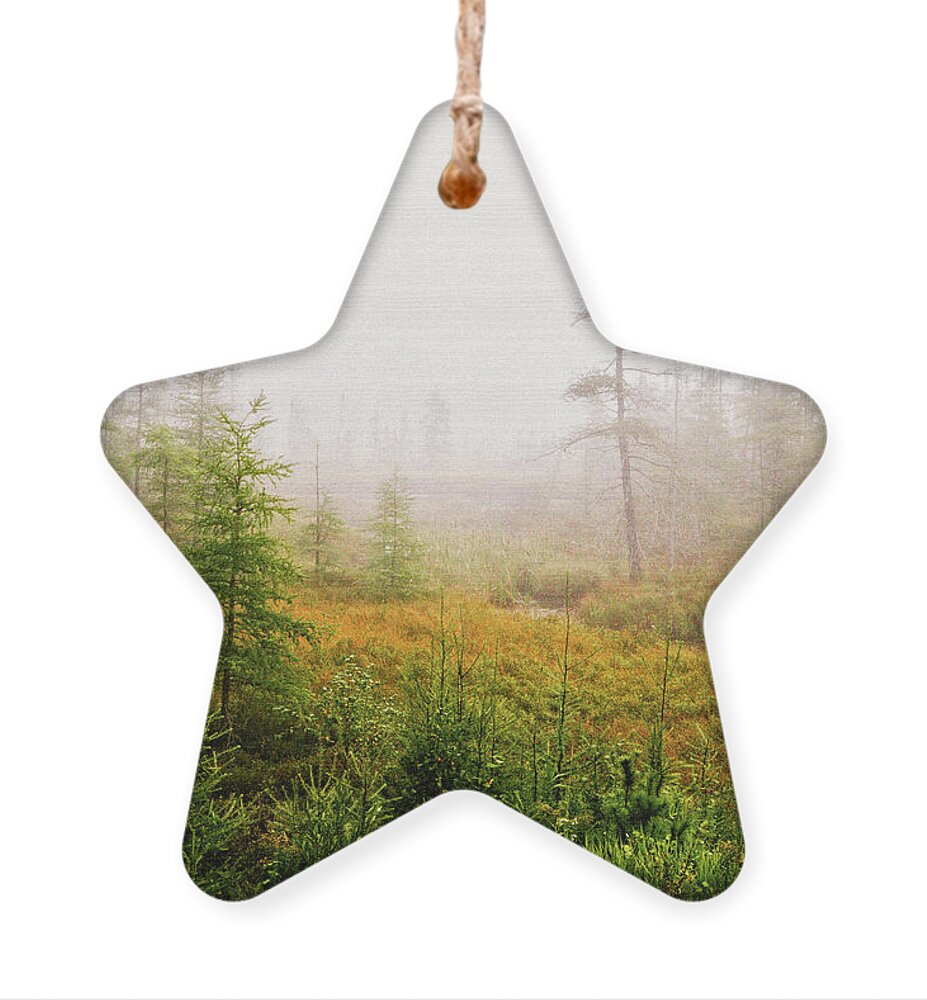 Autumn Ornament featuring the photograph Boreal On County Road 7 by Cynthia Dickinson