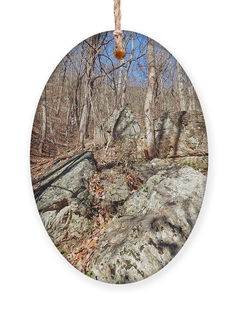 House Mountain Ornament featuring the photograph Boulders Along The Trail by Phil Perkins