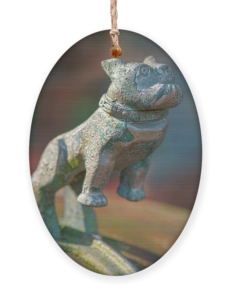 Old Car Ornament featuring the photograph Bulldog Hood Ornament by Minnie Gallman