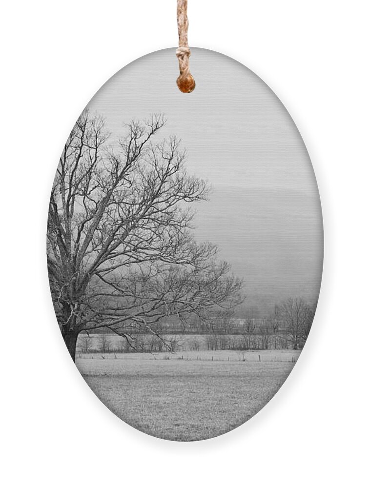 Cades Cove Ornament featuring the photograph Cades Cove 1 by Nunweiler Photography