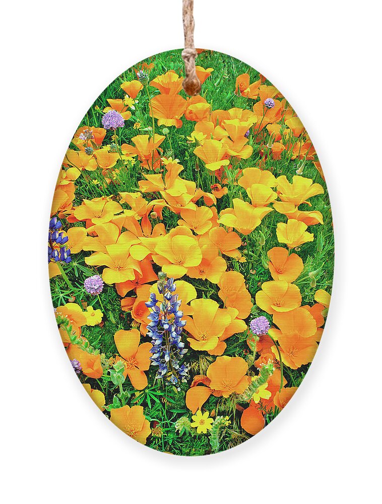 North America Ornament featuring the photograph California Poppies and Betham Lupines Southern California by Dave Welling