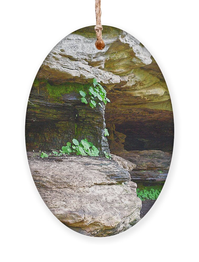 Tennessee Ornament featuring the photograph Caves In A Cliff by Phil Perkins