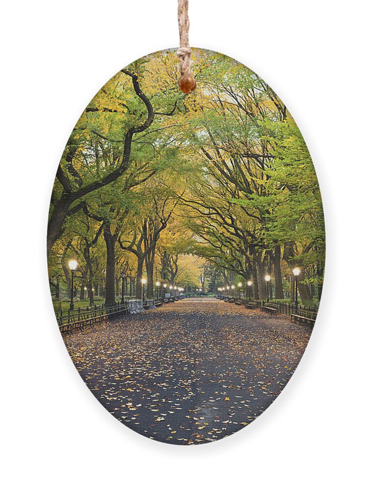 City Ornament featuring the photograph Central Park Image Of The Mall Area by Rudy Balasko