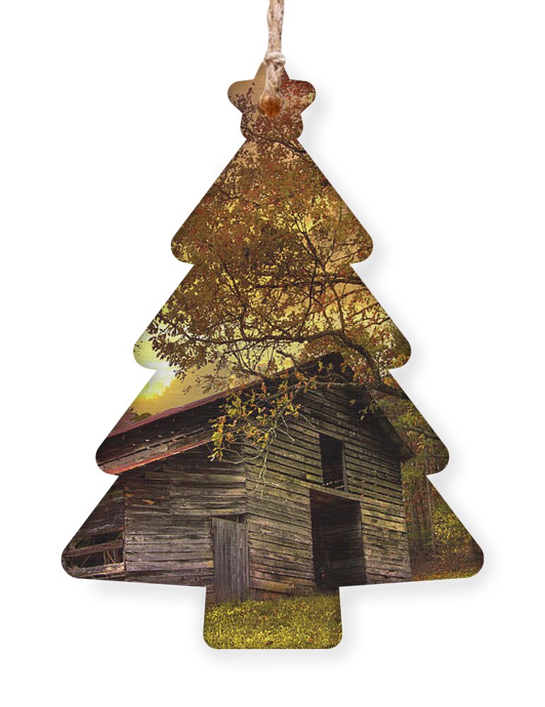 Appalachia Ornament featuring the photograph Chill of an Early Fall by Debra and Dave Vanderlaan