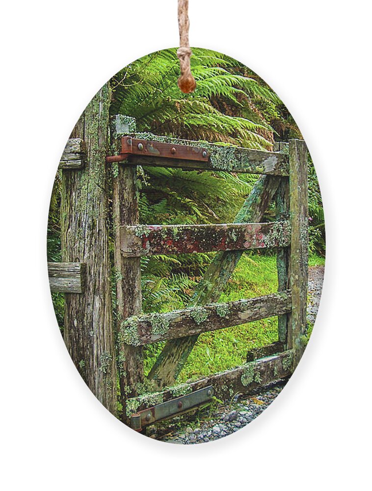 Gate Ornament featuring the photograph Come in the gate's open by Leslie Struxness