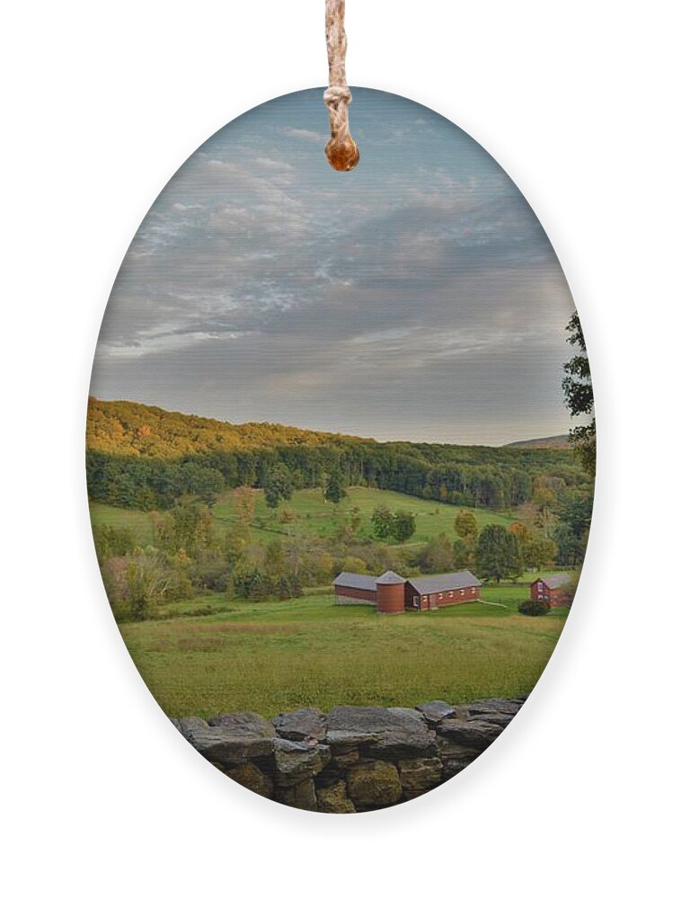 Landscape Ornament featuring the photograph Connecticut Farm Meadows by Dani McEvoy