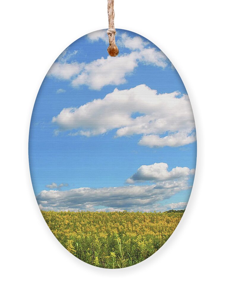 Blue Sky Ornament featuring the photograph Country Field Of Flowers by Christina Rollo