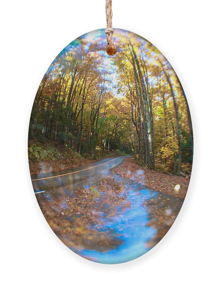 Nunweiler Ornament featuring the photograph Crystal Ball Forest by Nunweiler Photography