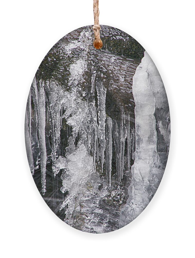 Water Ornament featuring the photograph Crystal Ice by Cate Franklyn
