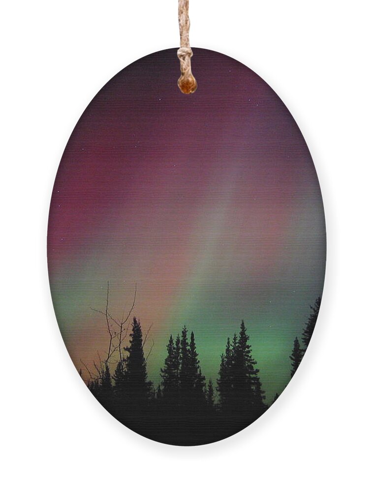 Red Ornament featuring the photograph D Aurora Borealis Alaska Red Skies by Pinky