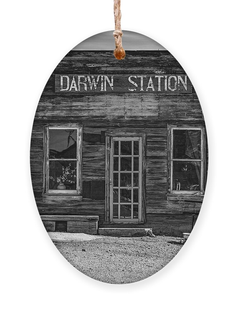 Darwin Ornament featuring the photograph Darwin Station by Don Hoekwater Photography