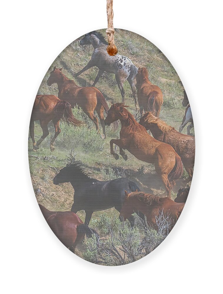 Running Horses Ornament featuring the photograph Dust in the Wind by Jim Garrison