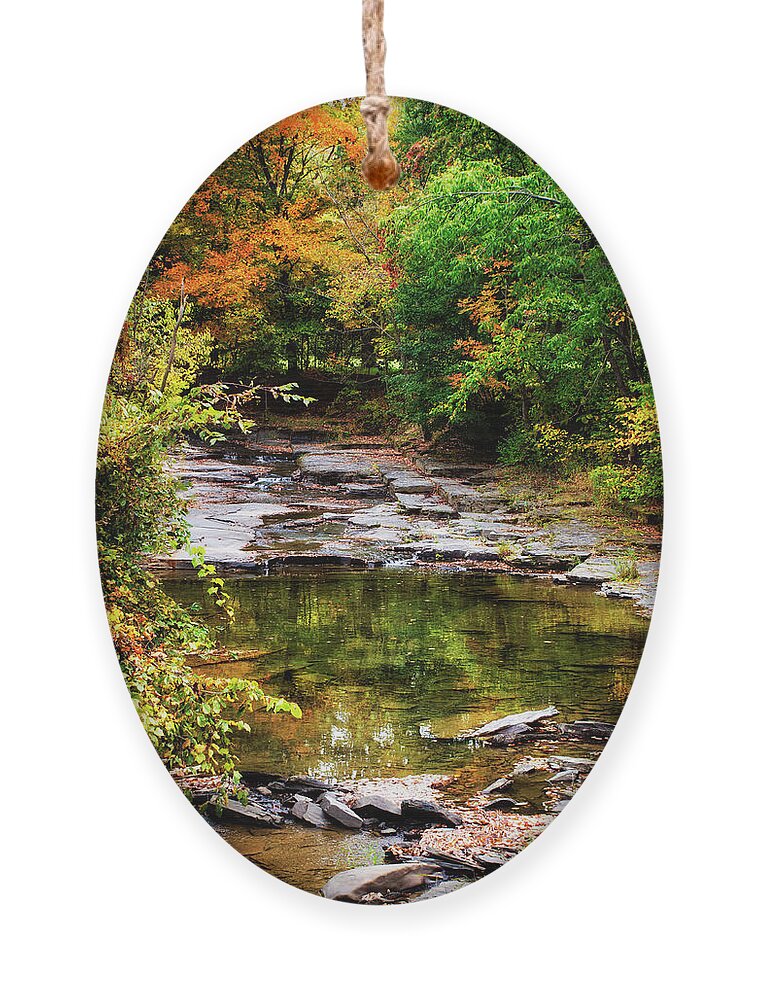 Fall Ornament featuring the photograph Fall Creek by Christina Rollo