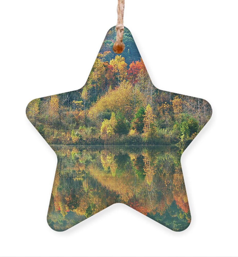 Fall Trees Ornament featuring the photograph Fall Kaleidoscope by Christina Rollo