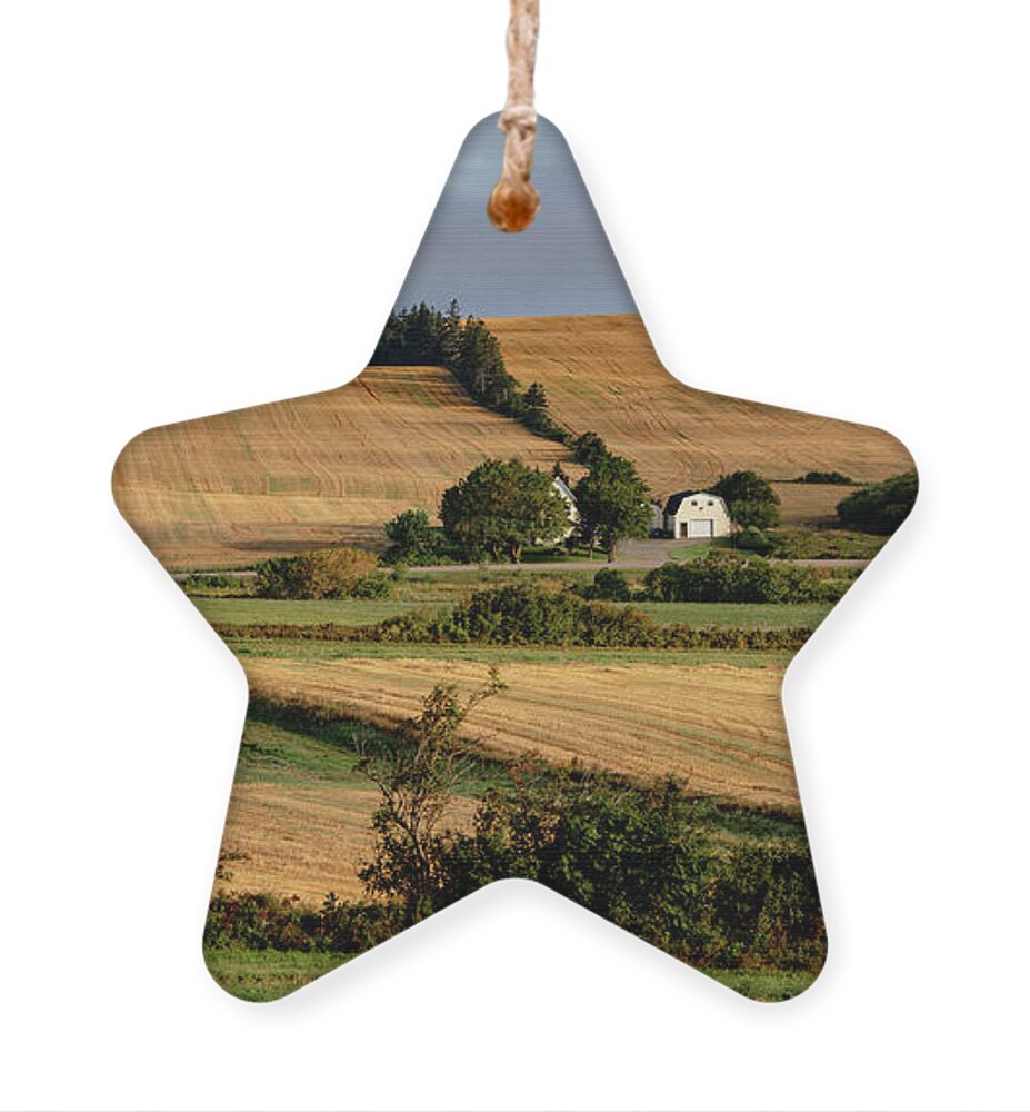 Pei Ornament featuring the photograph Fields and Farms Patchwork by Marcy Wielfaert