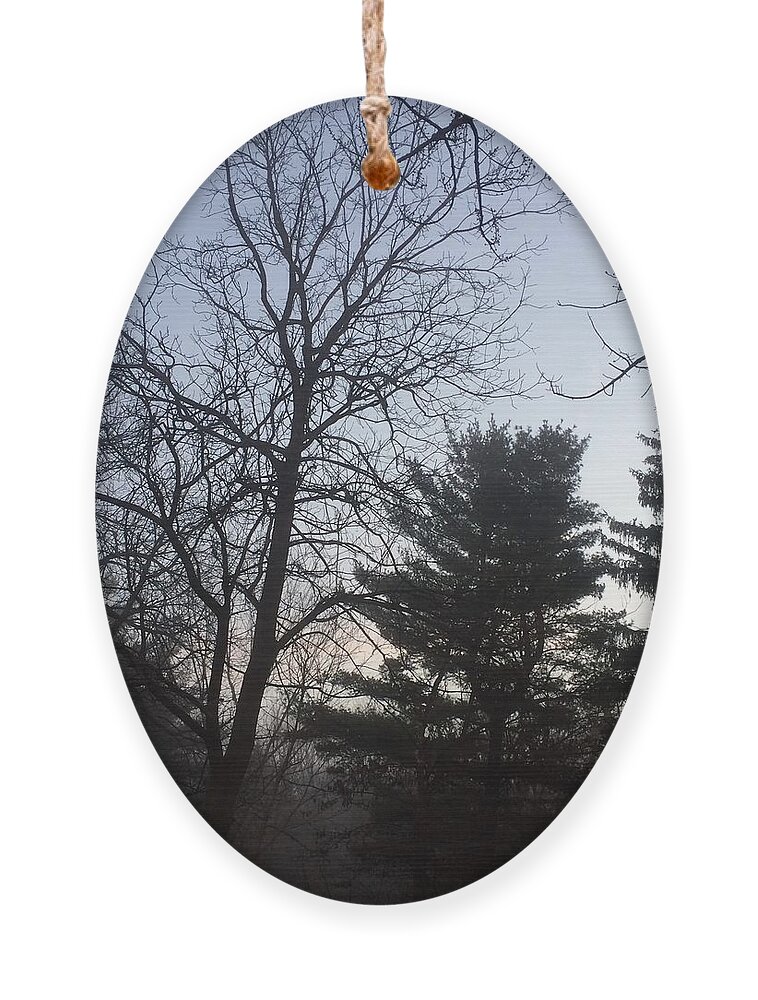 Nature Ornament featuring the photograph First Light and Fog by Frank J Casella