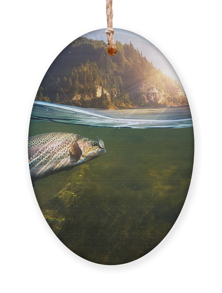 Flare Ornament featuring the photograph Fishing Close-up Shut Of A Fish Hook by Rocksweeper
