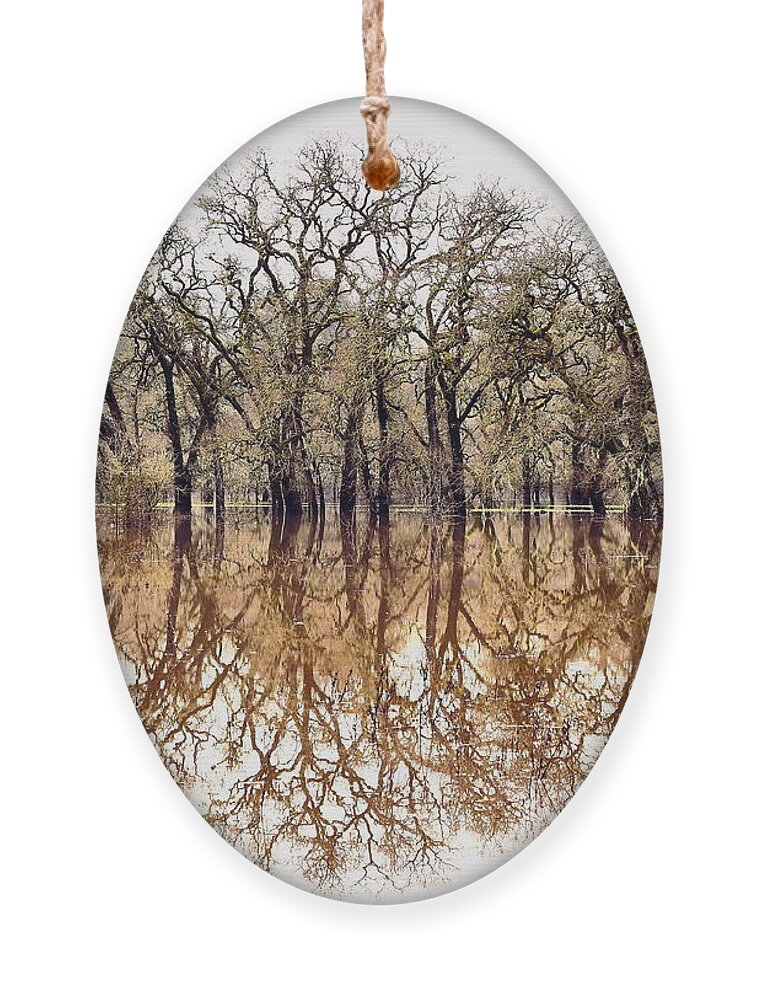 Landscape Ornament featuring the photograph Flooded Laguna de Santa Rosa by Richard Thomas