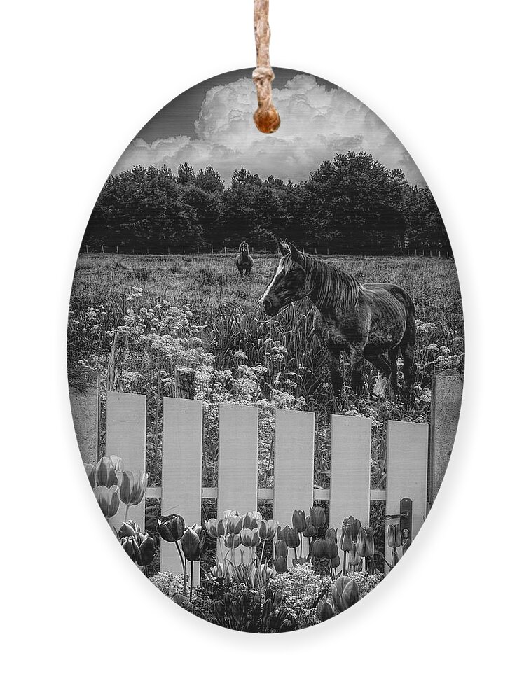 Barn Ornament featuring the photograph Floral Farmland in Black and White by Debra and Dave Vanderlaan