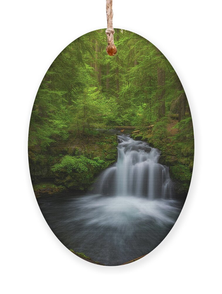 Lush Ornament featuring the photograph Flowing Through the Forest by Darren White