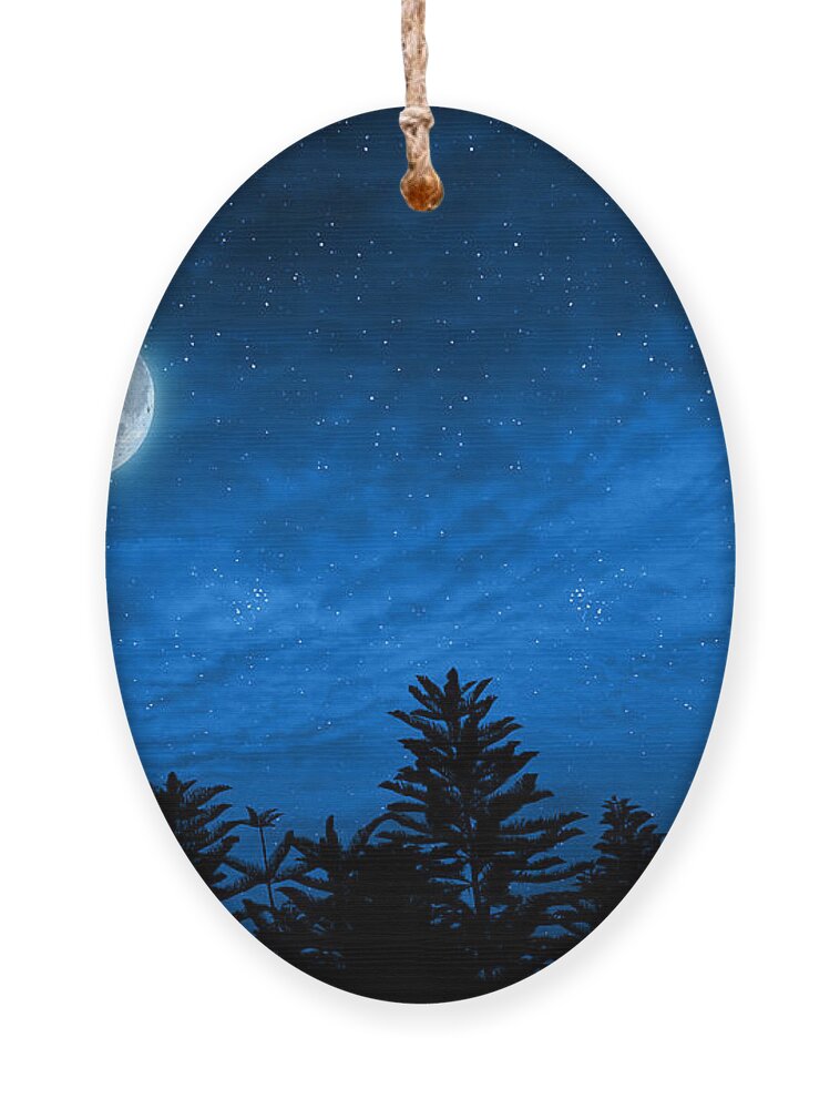 Magic Ornament featuring the photograph Forest In Silhouette With Starry Night by Ohishiapply