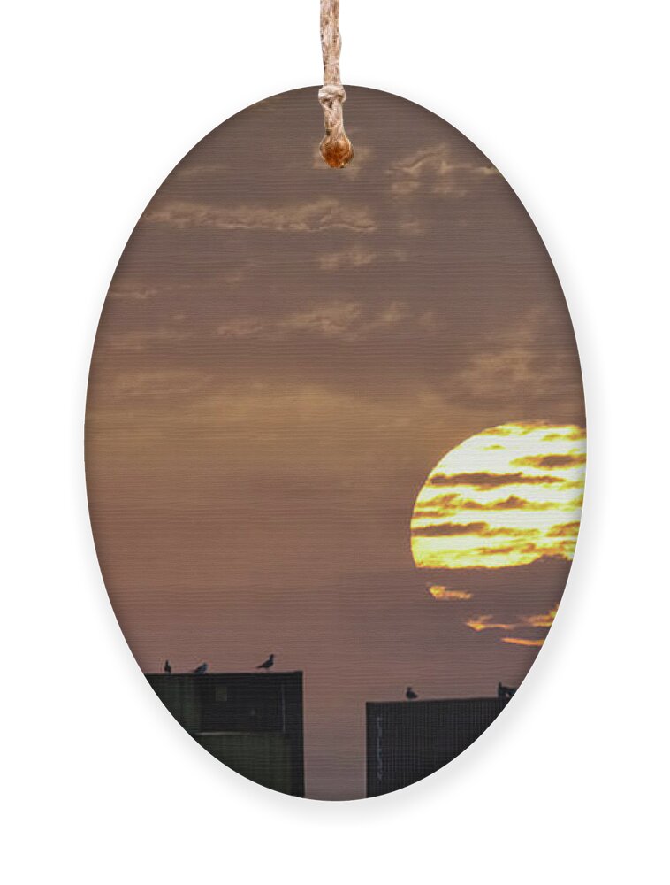 Bright Ornament featuring the photograph Giant Sun at Sunrise Cadiz Harbour by Pablo Avanzini
