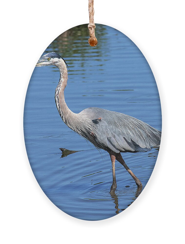 Nature Ornament featuring the photograph Great Blue Heron DMSB0167 by Gerry Gantt