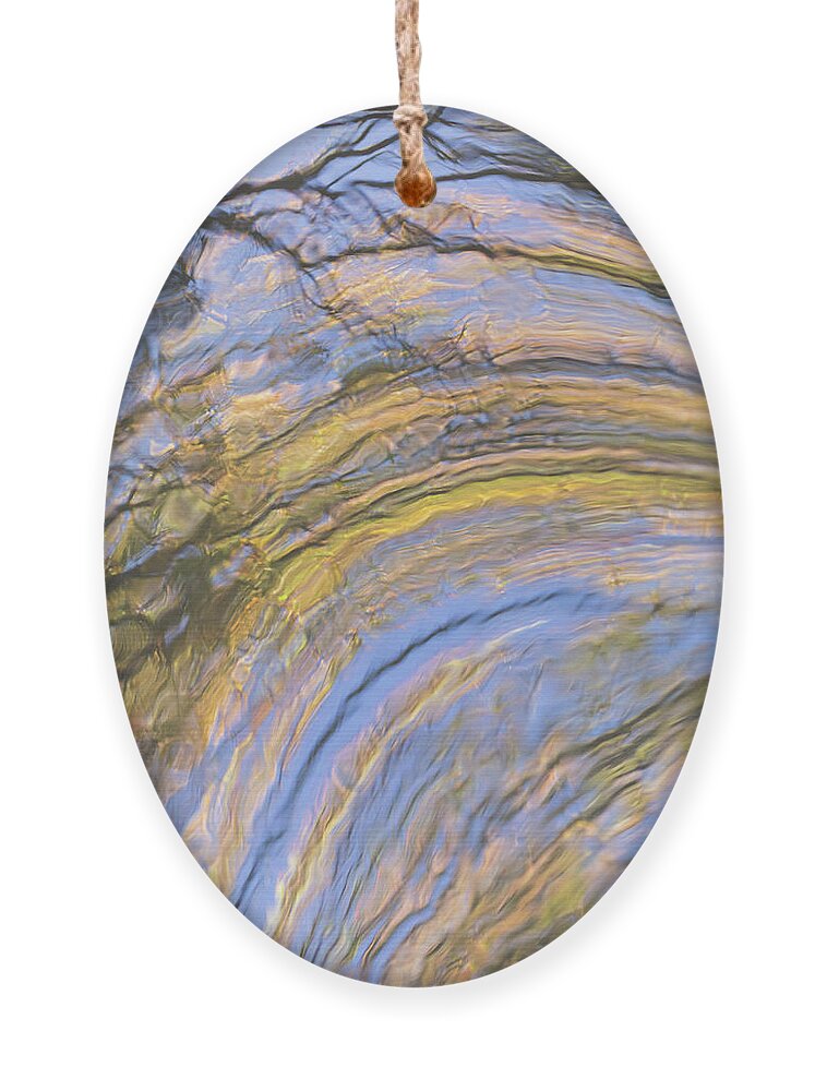 Groovy Ornament featuring the photograph Groovy Autumn Reflections by Anita Nicholson