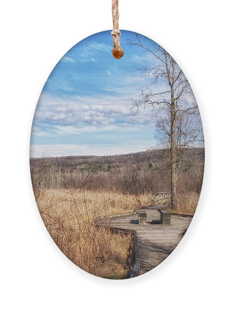 Helen's Way Ornament featuring the photograph Helen's Way by Lorraine Cosgrove