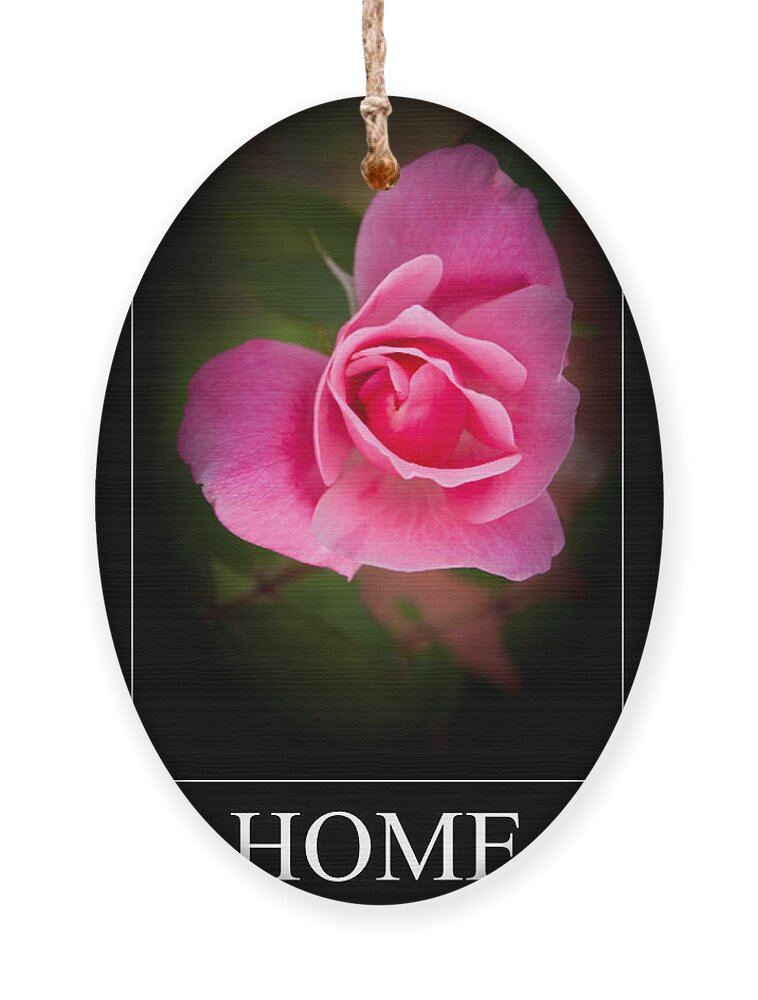 Love Ornament featuring the photograph Home Is Where The Heart Is by Joann Copeland-Paul