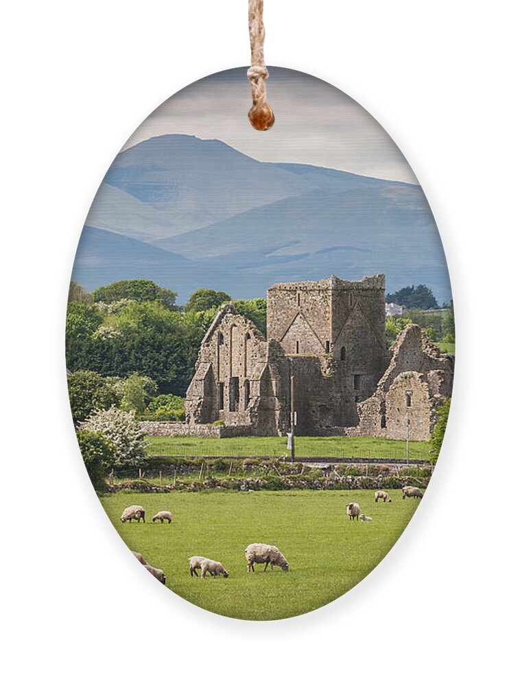 Country Ornament featuring the photograph Idyllic Irish Landscape by Pierre Leclerc