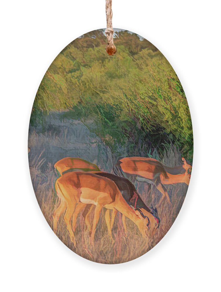 Impala Ornament featuring the photograph Impalas of Botswana, Painterly by Marcy Wielfaert