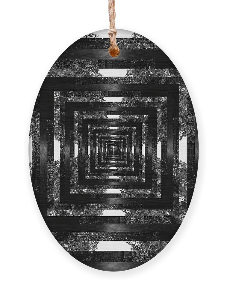 Volcanic Ornament featuring the digital art Infinity Tunnel Abiqua Falls Black and White by Pelo Blanco Photo