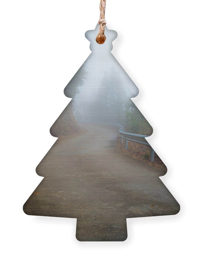 Pinhole Ornament featuring the photograph Is anyone coming? by William Dickman