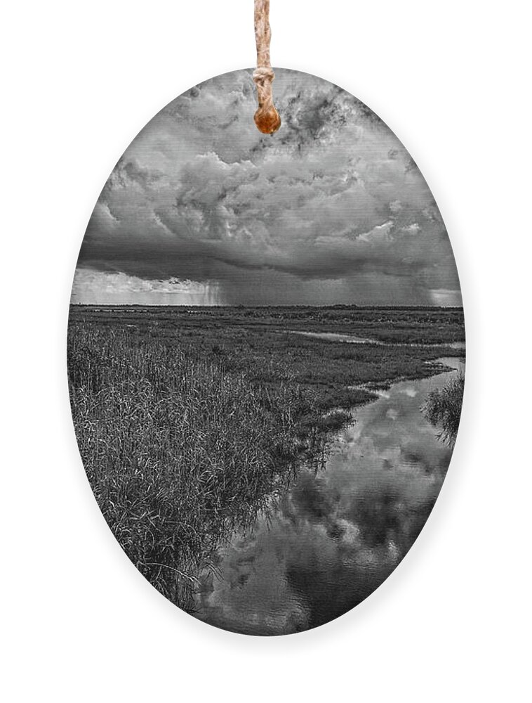 Monochrome Ornament featuring the photograph Isolated Shower - BW by Christopher Holmes