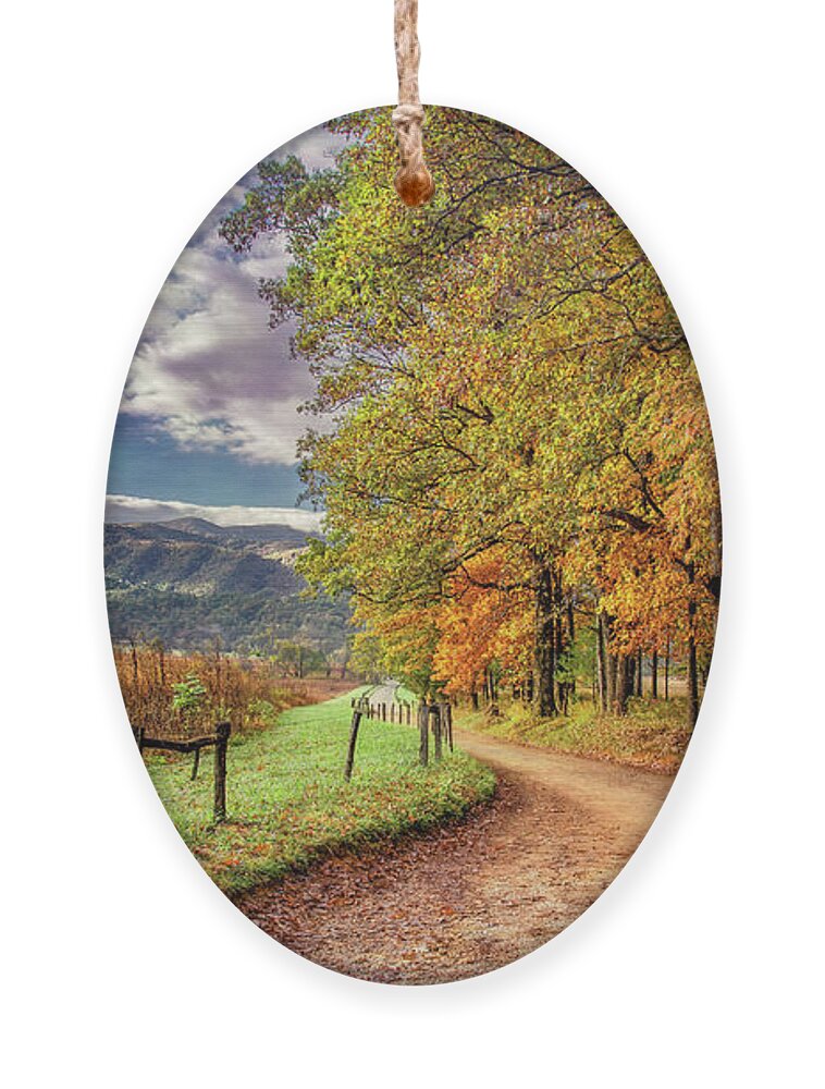 Cades Cove Ornament featuring the photograph It's Finally Fall by Marcy Wielfaert