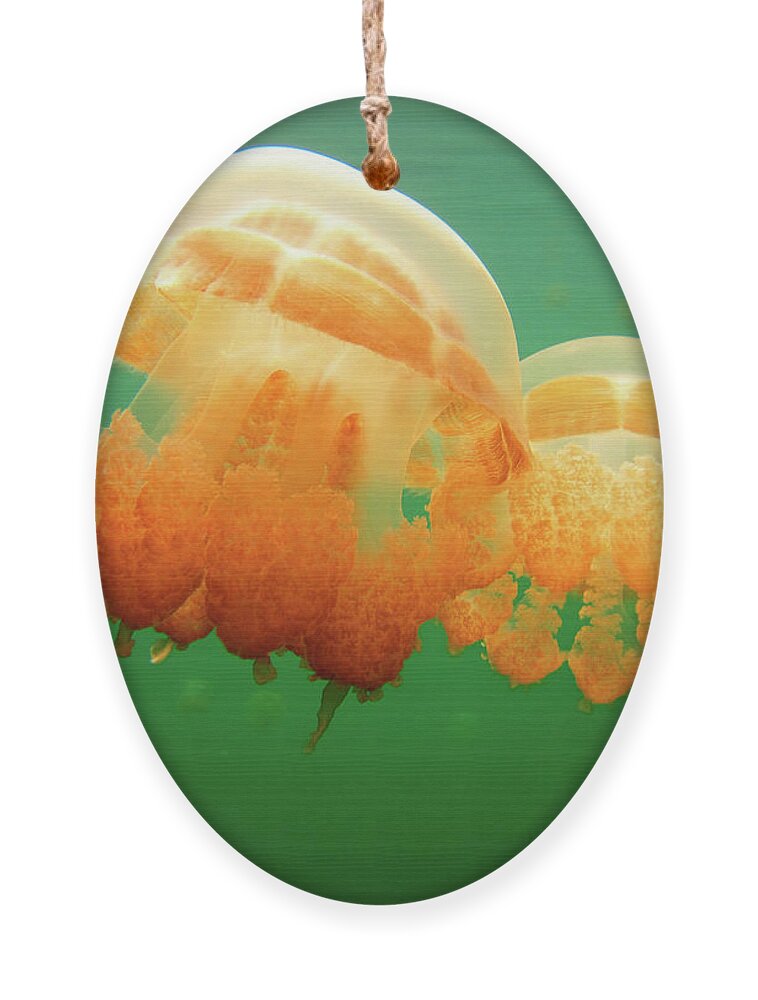Jellyfish Ornament featuring the photograph Jellyfish Love by Becqi Sherman