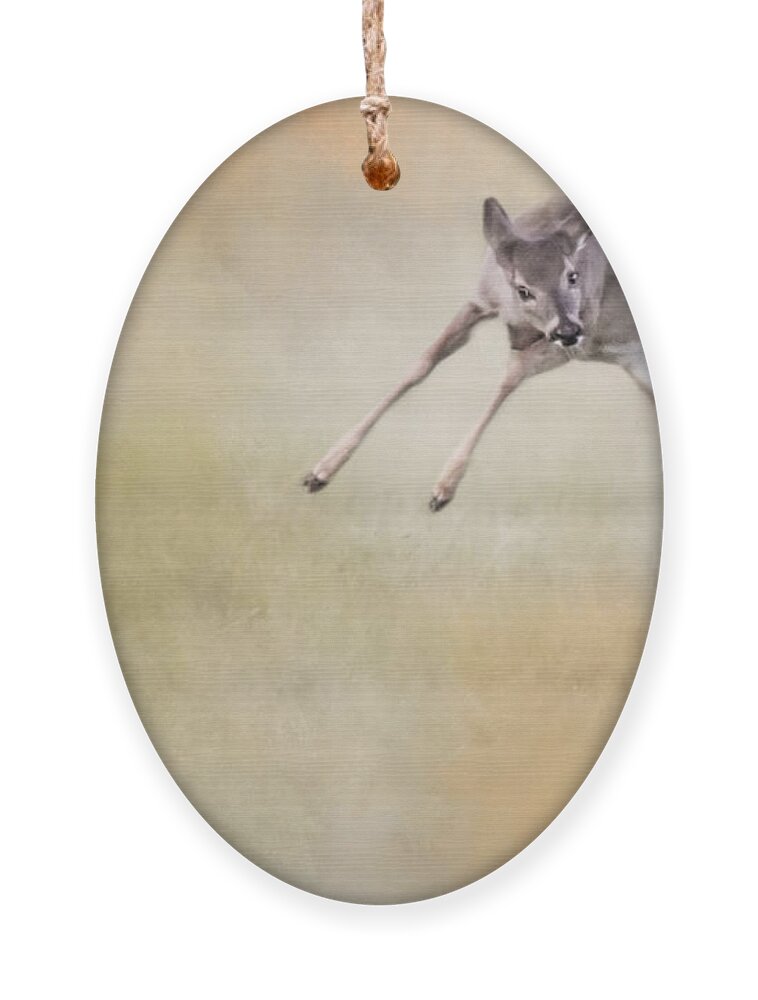 Deer Ornament featuring the photograph Joyful Little Fawn 1 by Jai Johnson