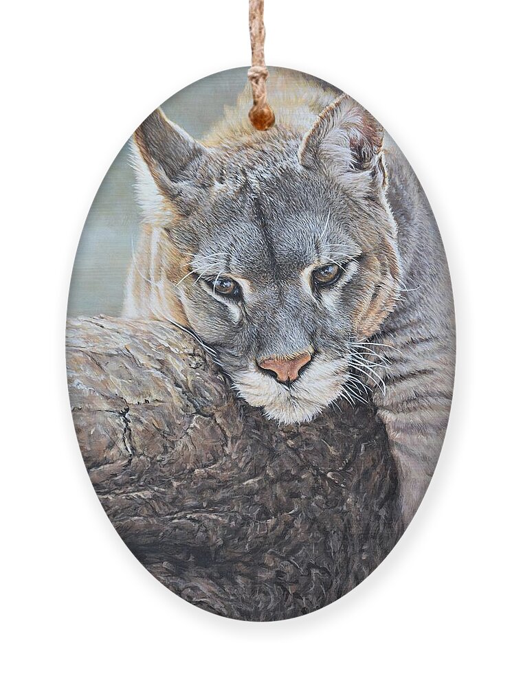 Cougar Ornament featuring the painting Just Chillin - Cougar by Alan M Hunt by Alan M Hunt