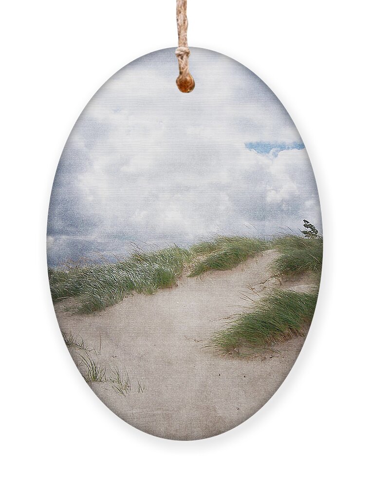 Holland Ornament featuring the photograph Lake Michigan Sand Dunes by Phil Perkins