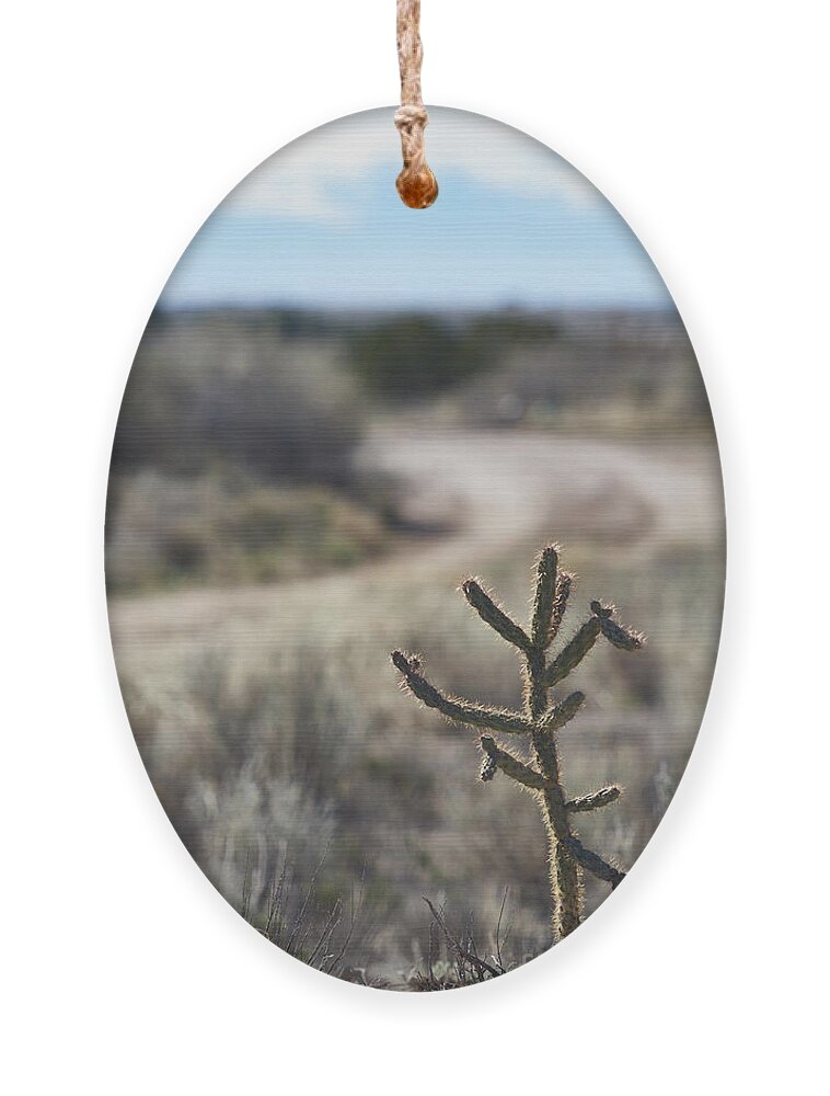 New Mexico Desert Ornament featuring the photograph Left at Albuquerque by Robert WK Clark