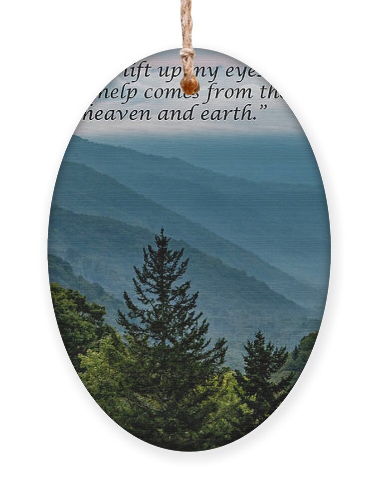 Scripture Ornament featuring the photograph Lift Your Eyes by Marcy Wielfaert