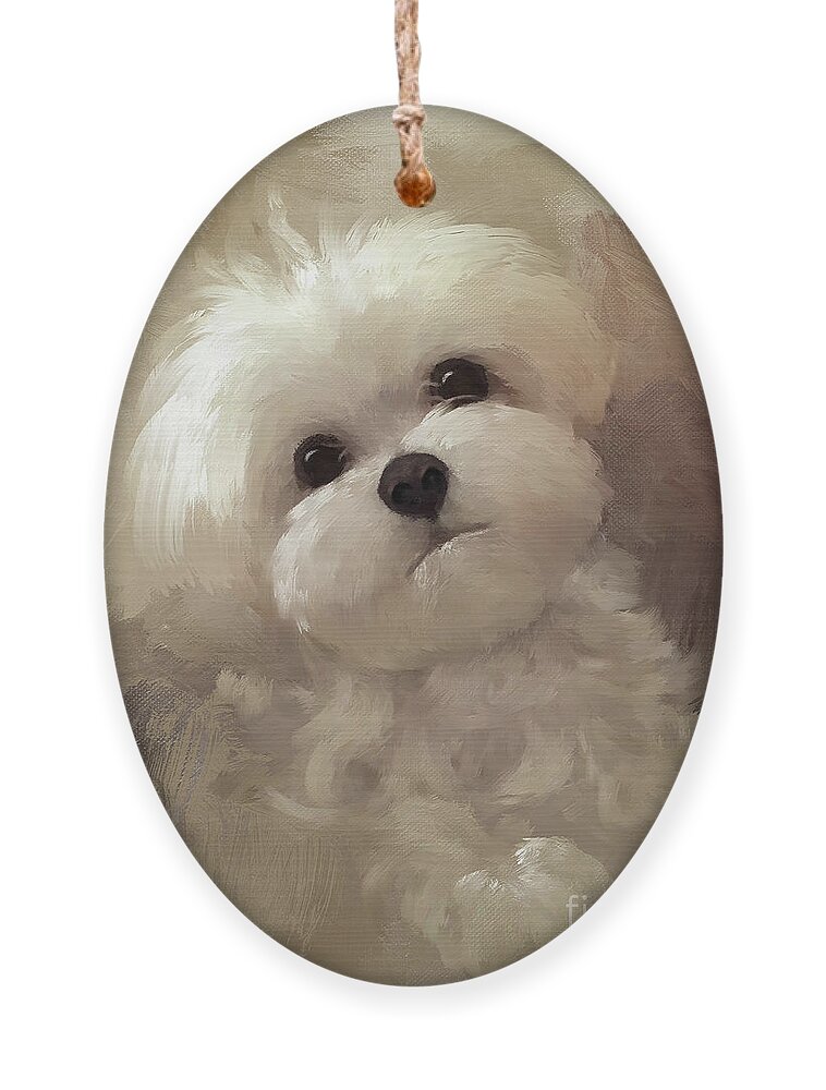 Maltese Ornament featuring the digital art Lookin' For Love by Lois Bryan